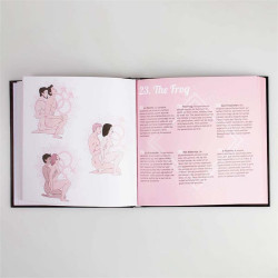 Secret Play Livre érotique 69 Positions Kamasutra